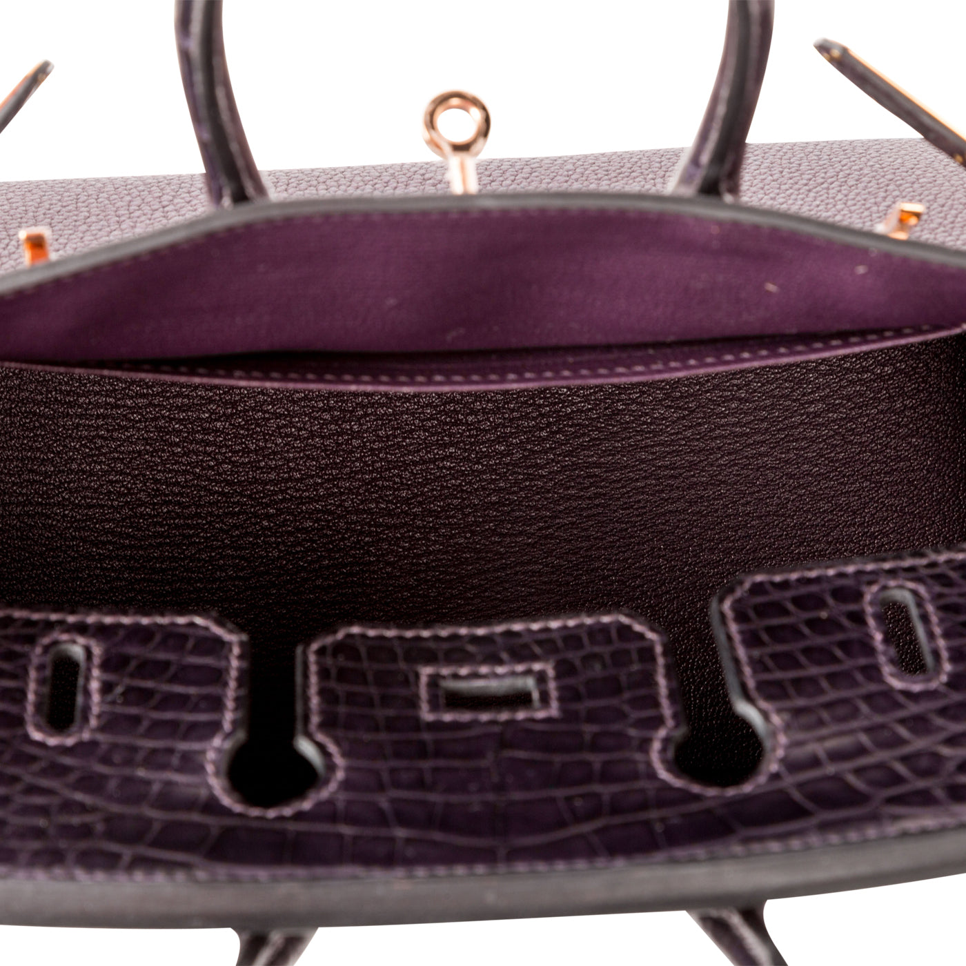 Birkin 25 Touch - Raisin Prunoir Togo/Alligator