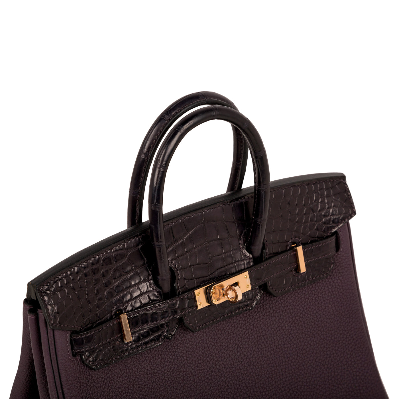 Birkin 25 Touch - Raisin Prunoir Togo/Alligator