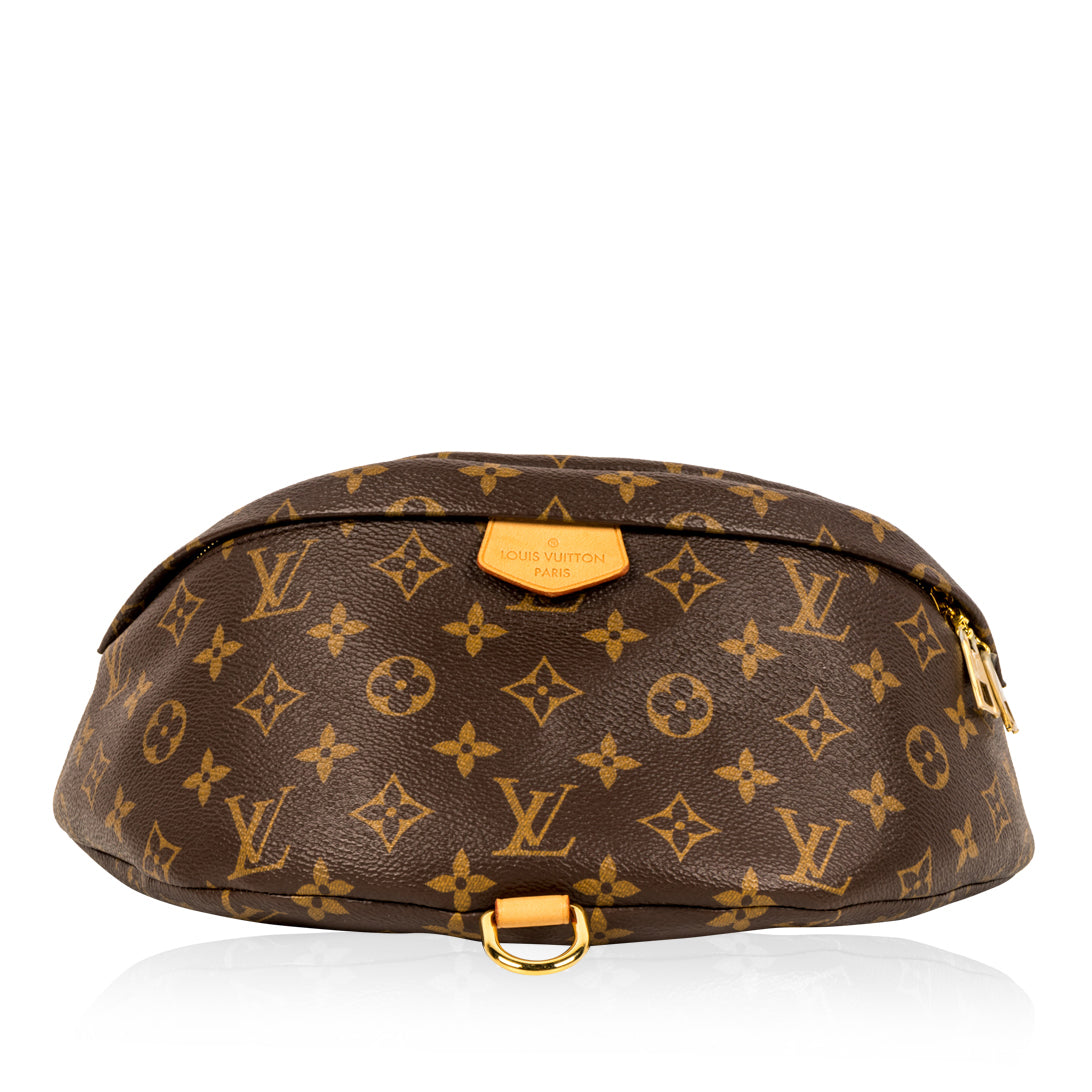 Louis Vuitton Bum Bag Brown – Bagista - Main Image