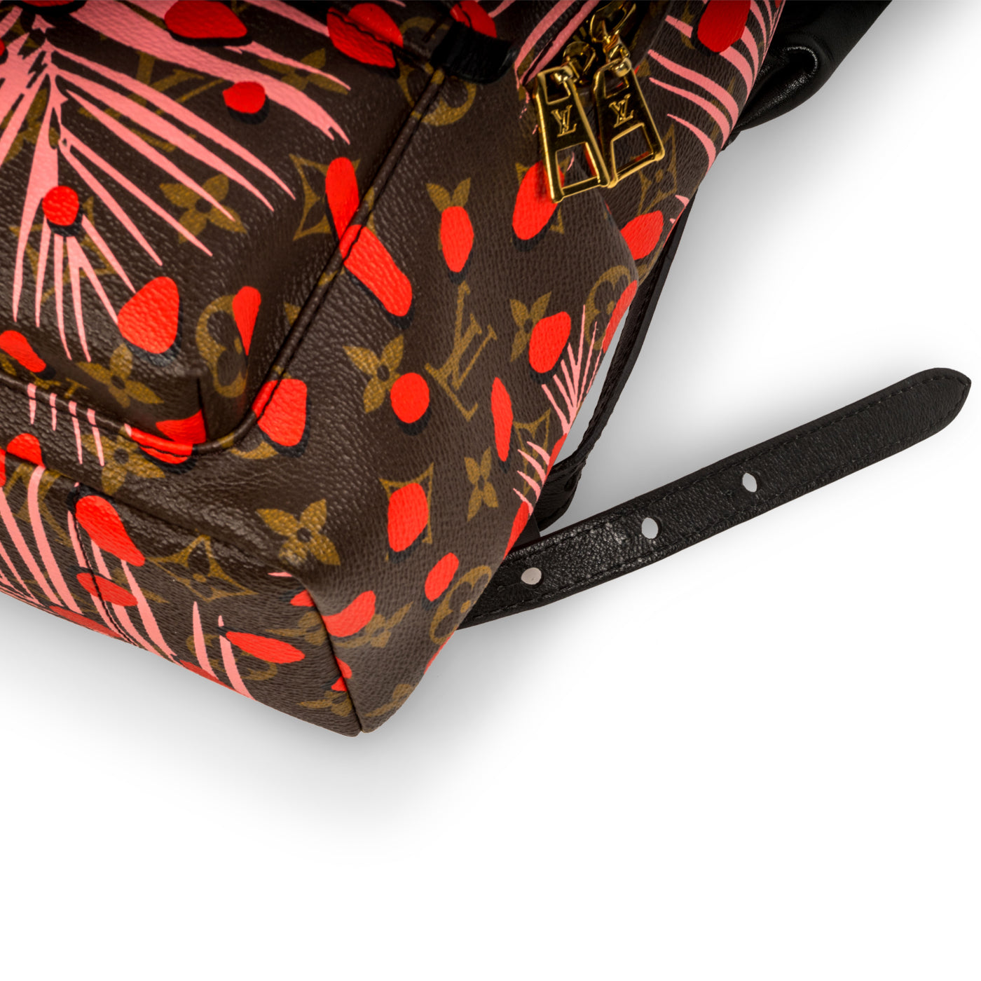 Louis Vuitton Palm Springs PM Monogram Jungle Dots Bag