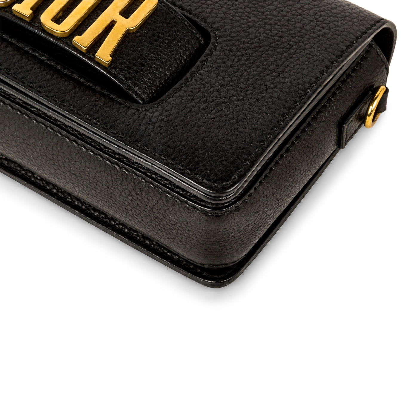 Dio(r)evolution Flap Bag