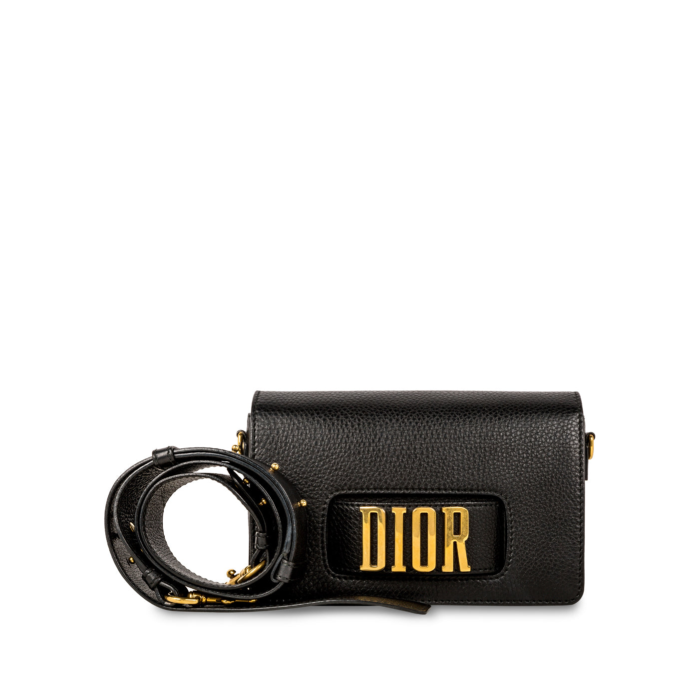 Dio(r)evolution Flap Bag
