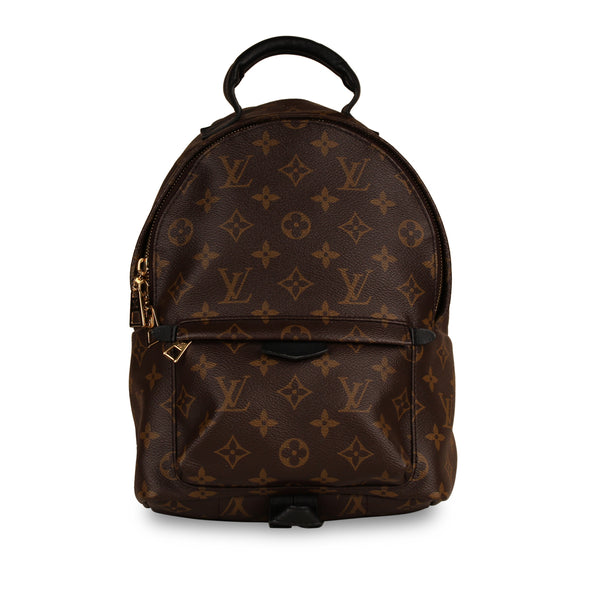 Louis Vuitton, Bags, Lv Palm Spring Back Pack Pm