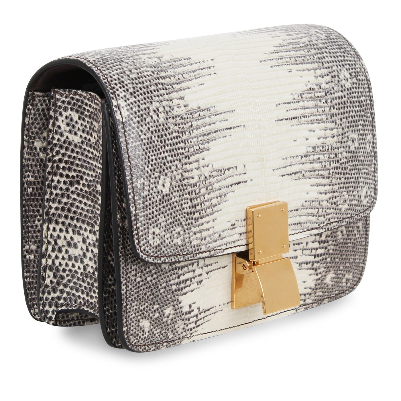 Small Classic Box Bag - Lizard