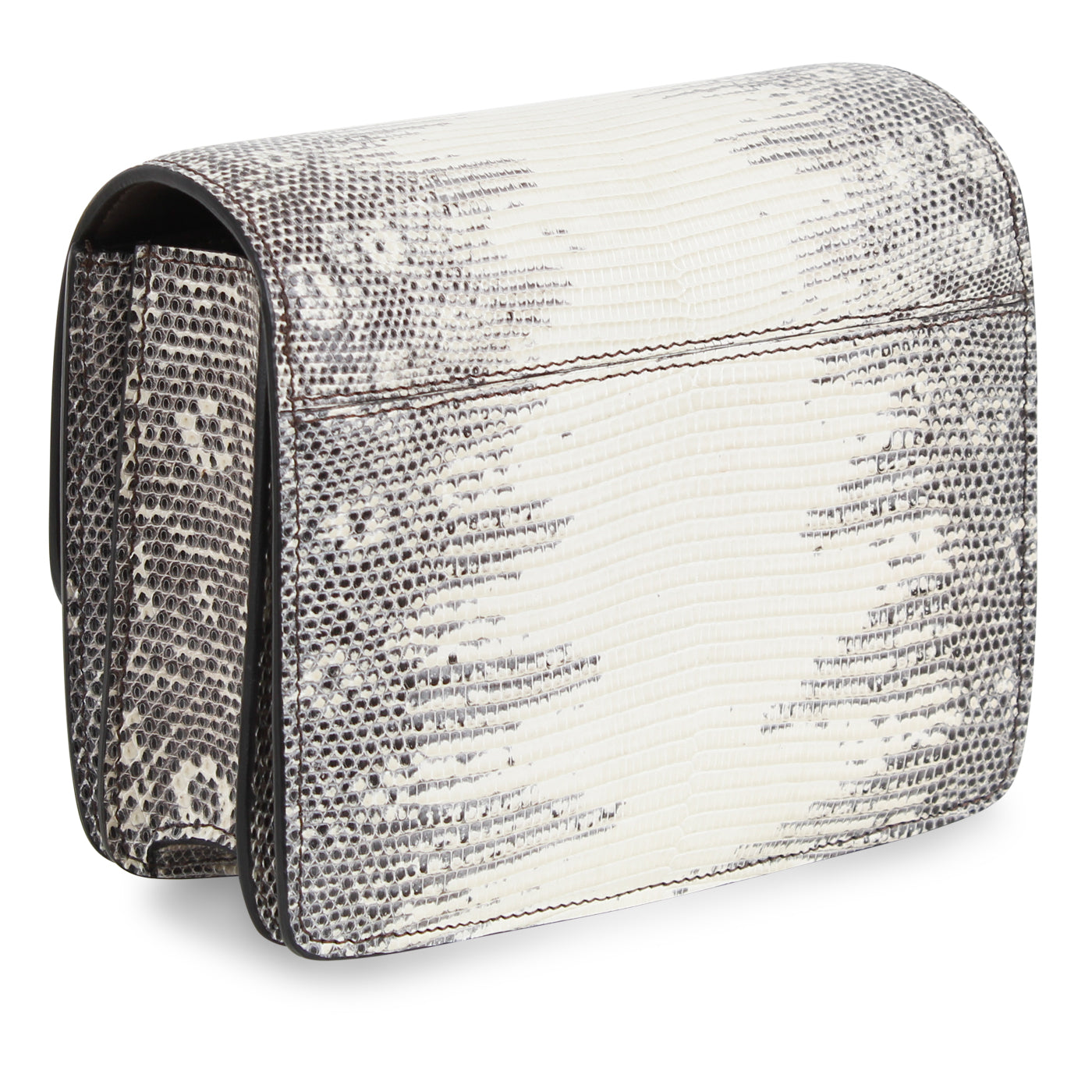 Small Classic Box Bag - Lizard