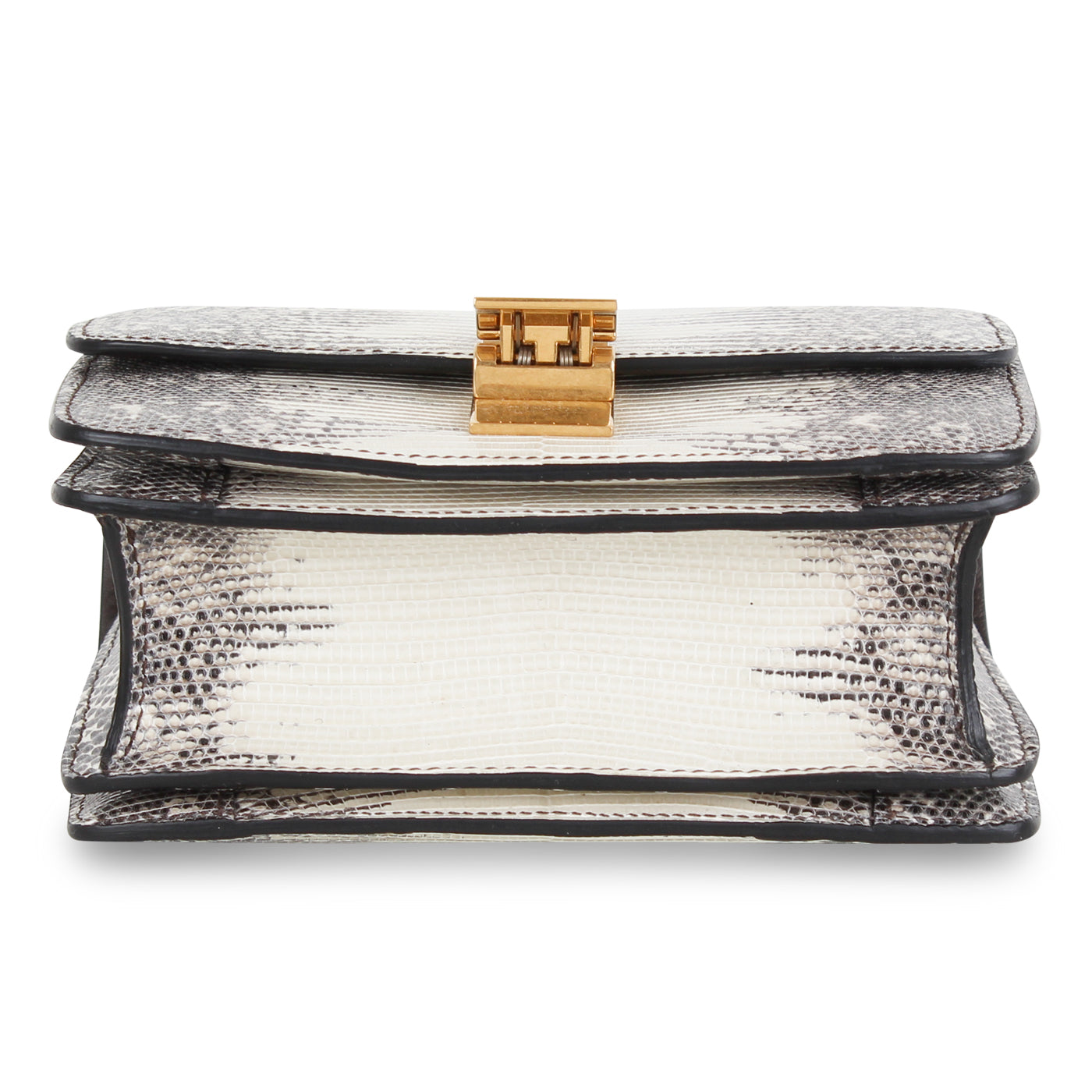 Small Classic Box Bag - Lizard
