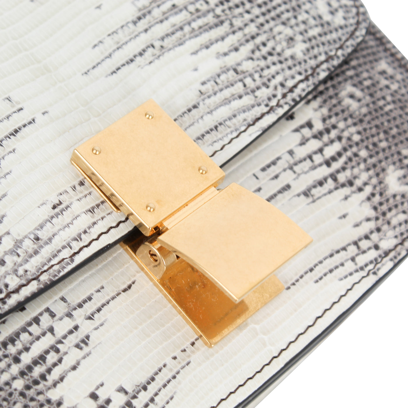 Small Classic Box Bag - Lizard