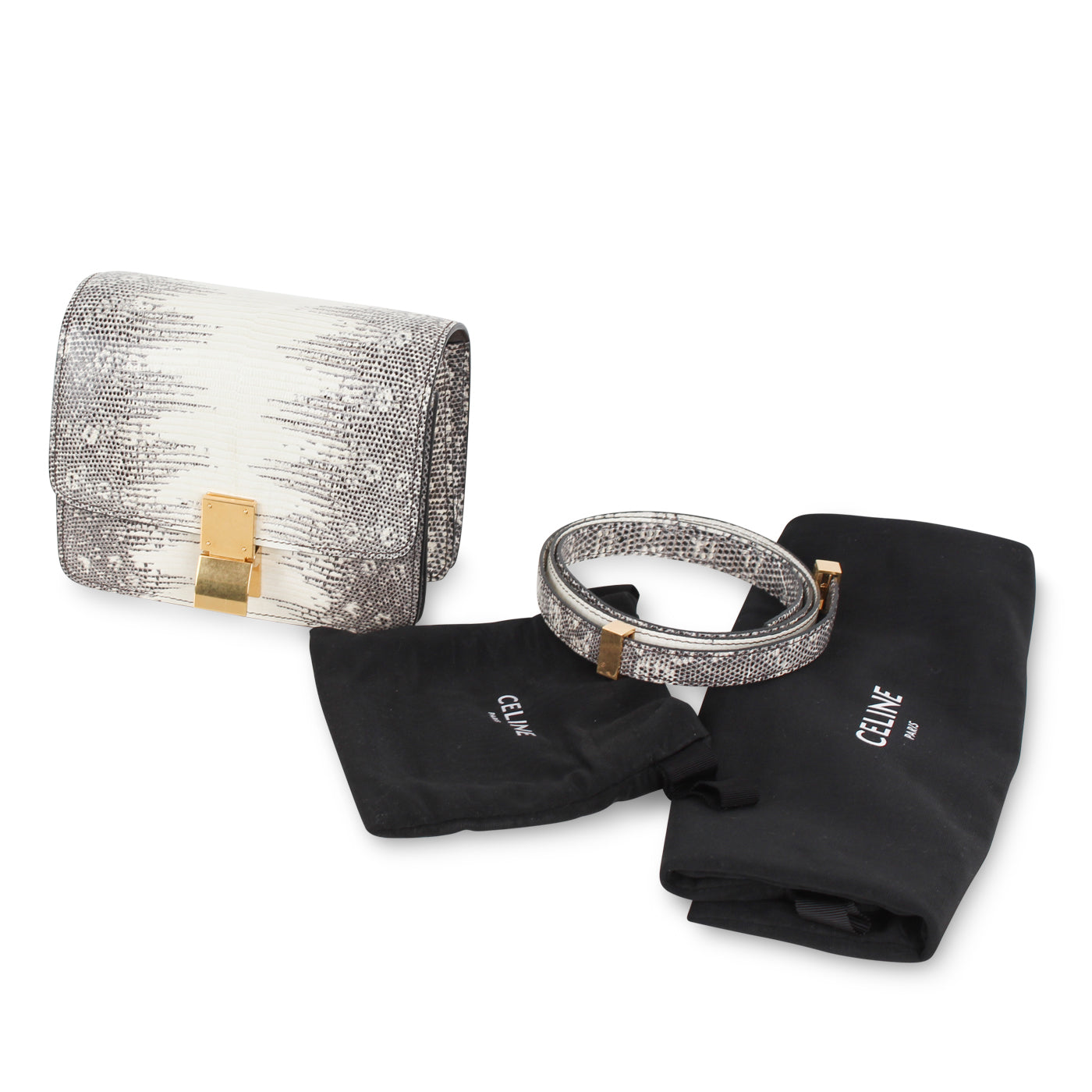 Small Classic Box Bag - Lizard