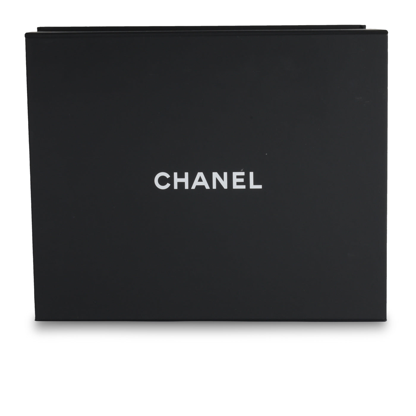 Chanel 19 Flap Bag - Large