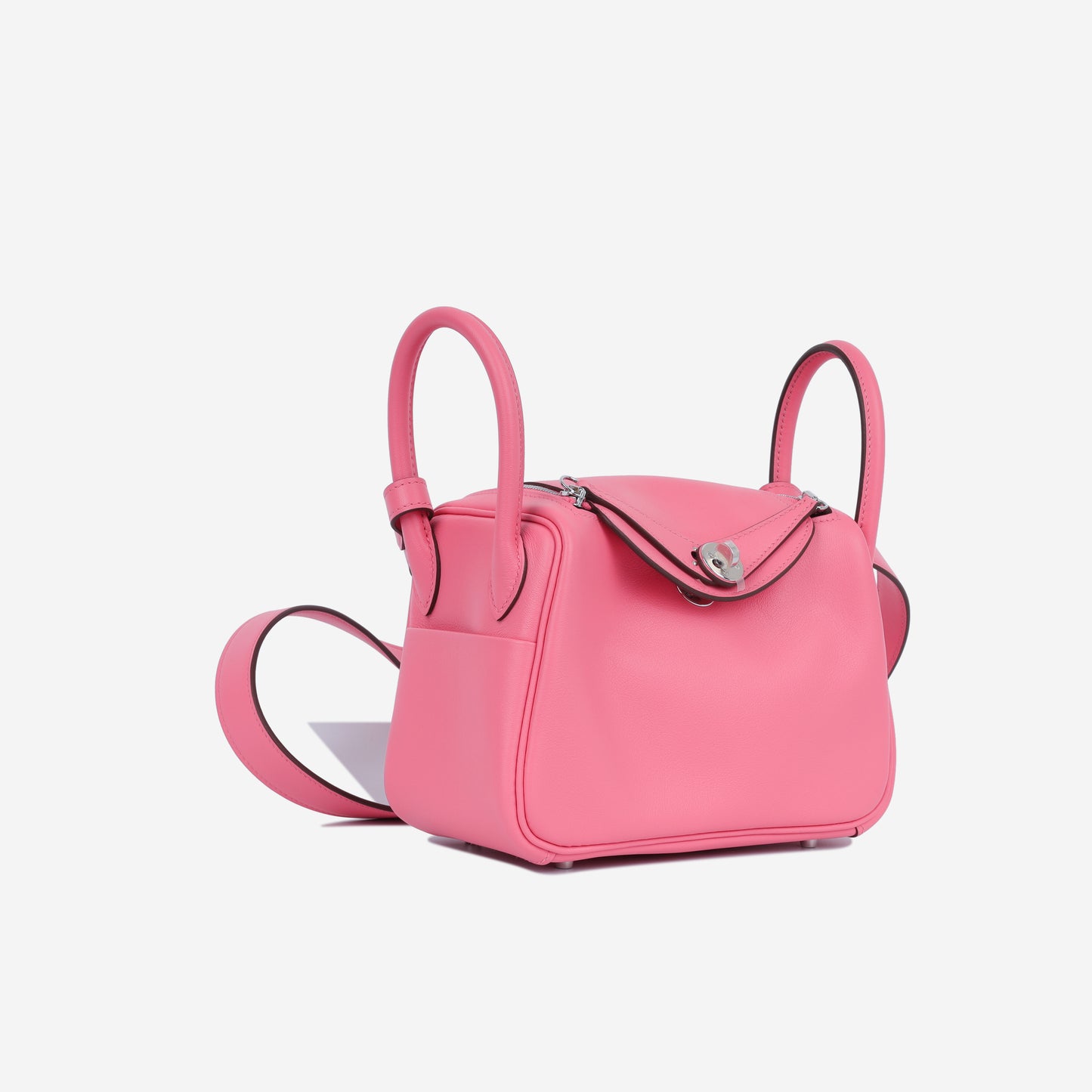 Mini Lindy - Rose Azalee