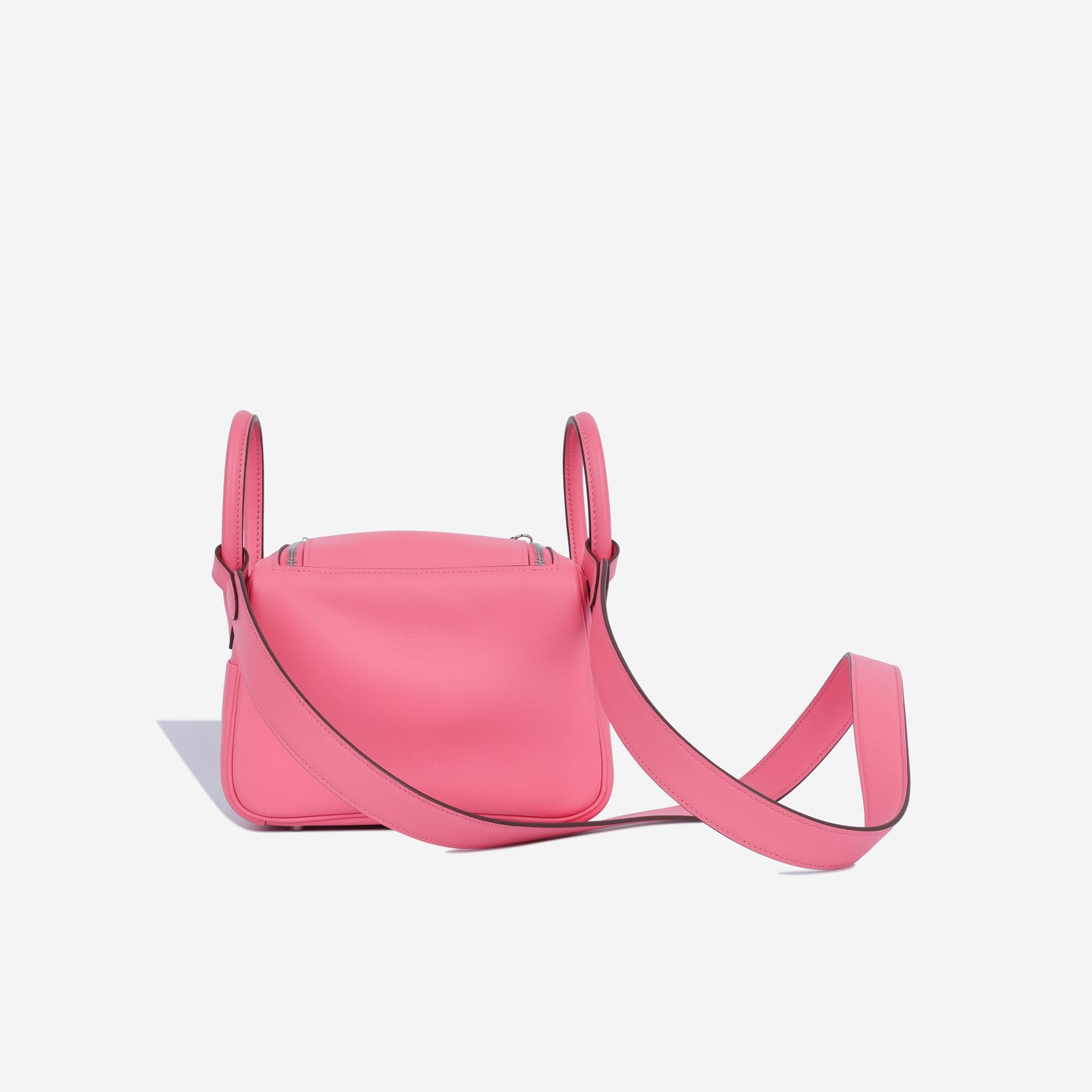 Mini Lindy - Rose Azalee