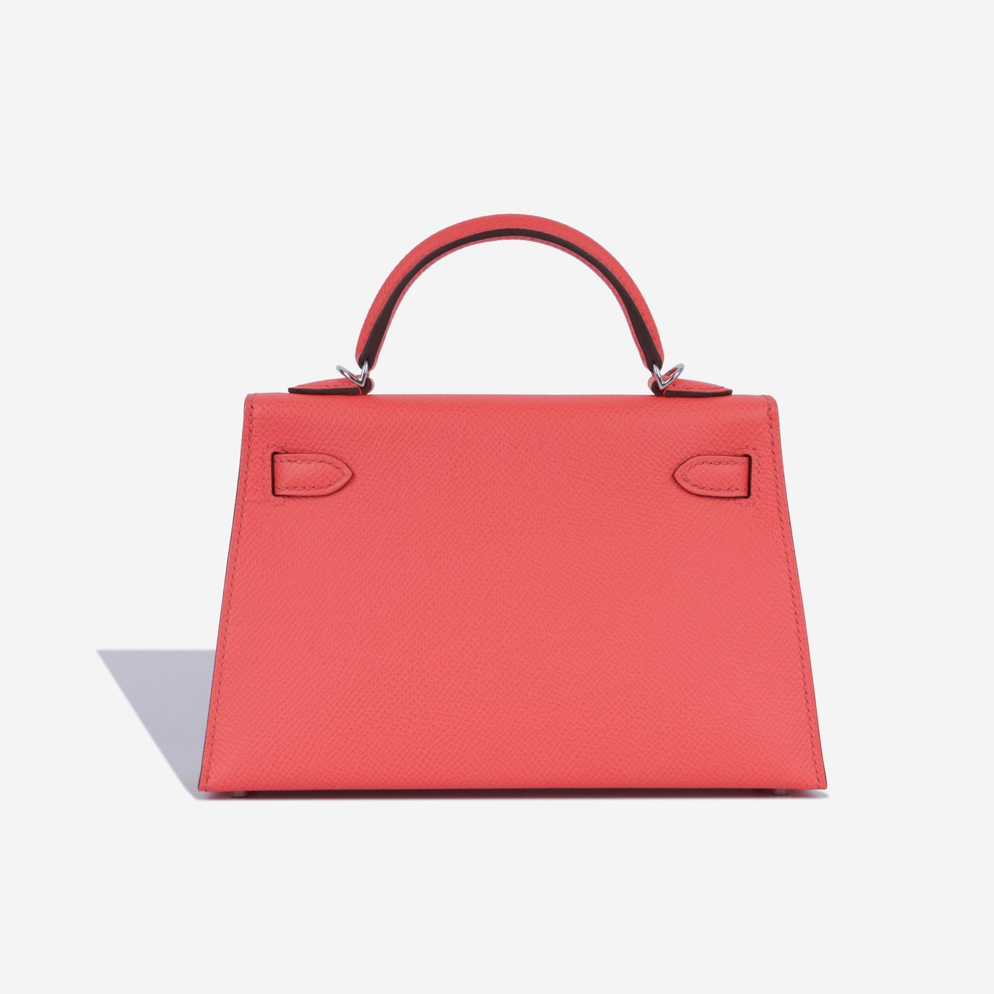 Mini Kelly - Rose Texas