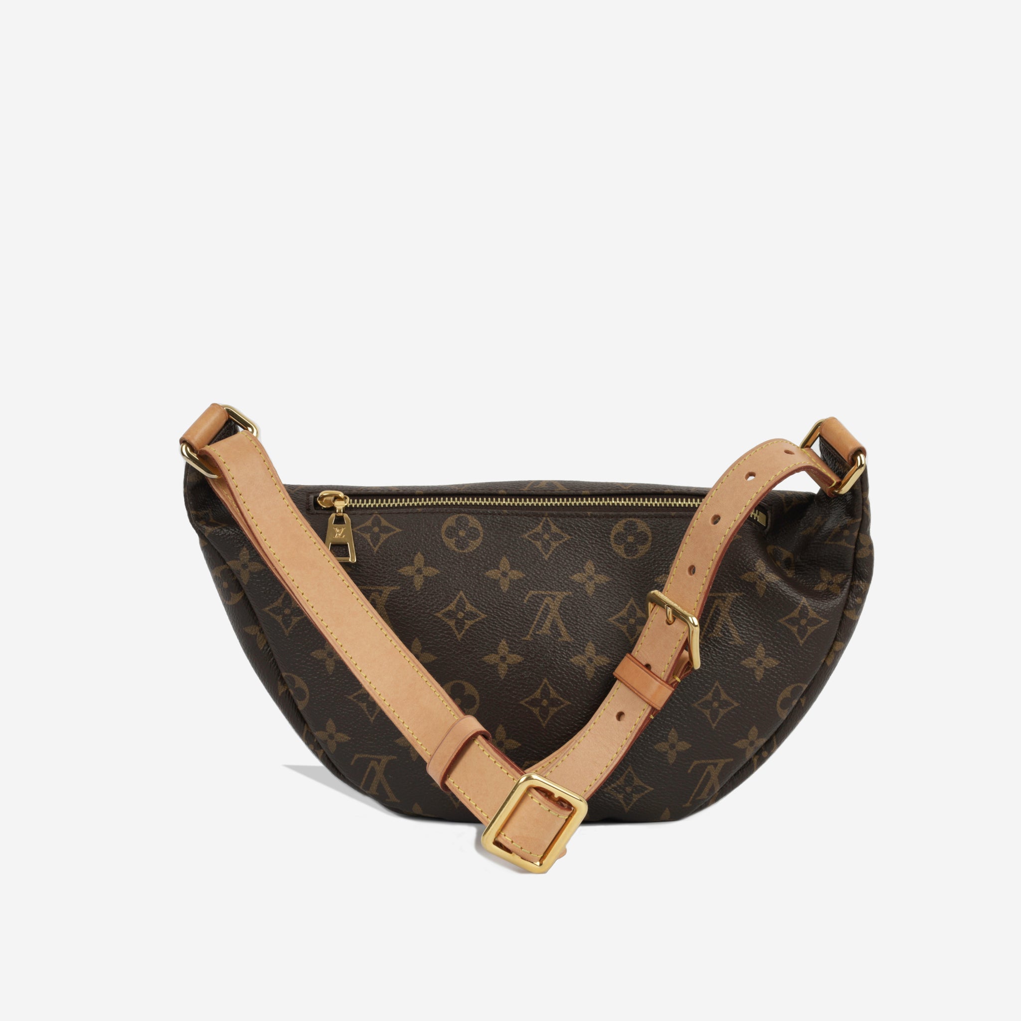 How to Wear the Louis Vuitton Bumbag in Monogram  PROs and CONs   Handbagholic  YouTube