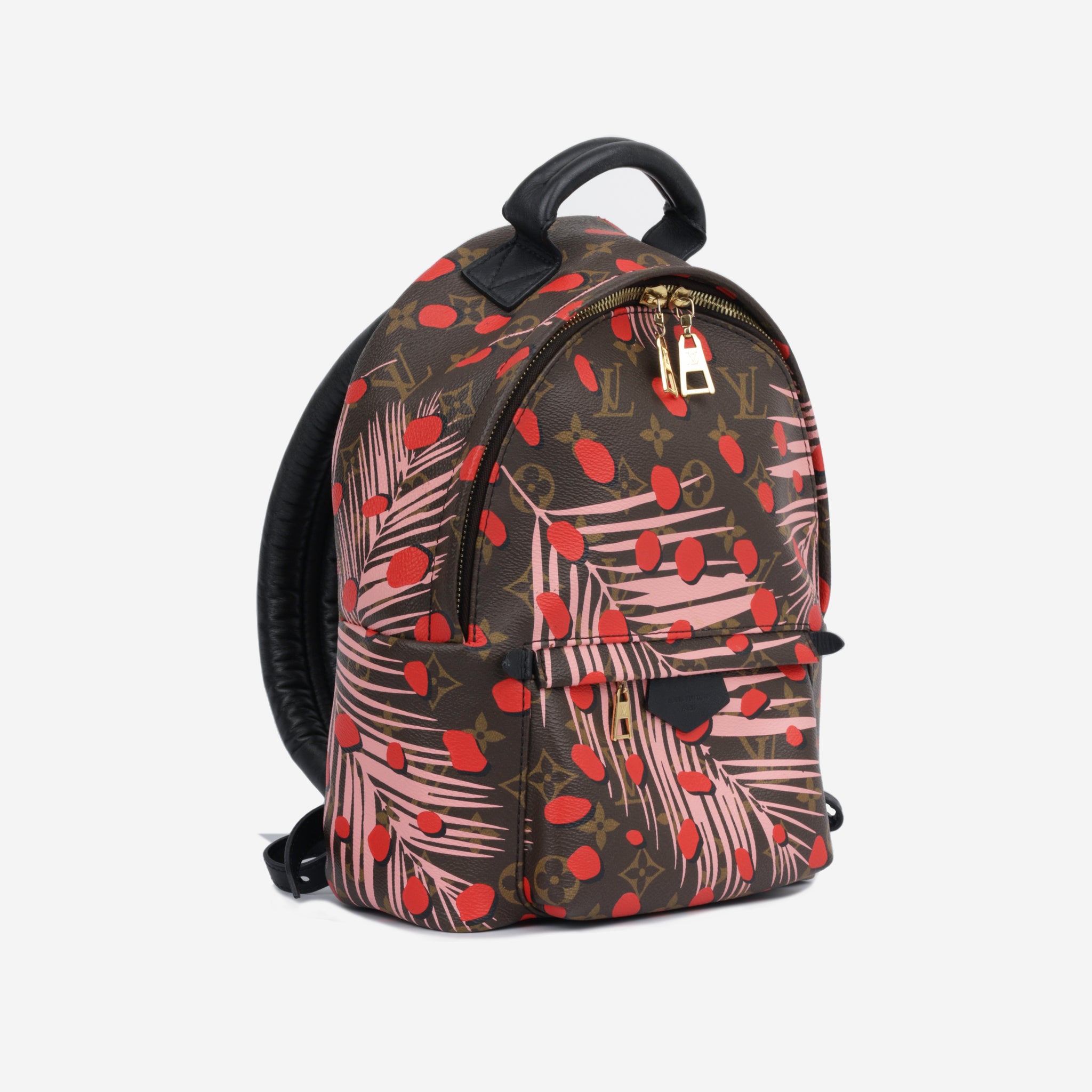 Louis Vuitton Monogram Jungle Palm Spring Backpack Pm M44718